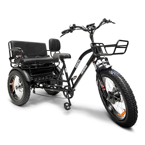 Ride in Style: Discover the Power and Comfort of the Forte RS Electric Tricycle