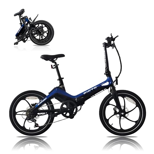 Ride the Future: A Comprehensive Review of the BLAUPUNKT FIENE 20 Inch Folding Electric Bike