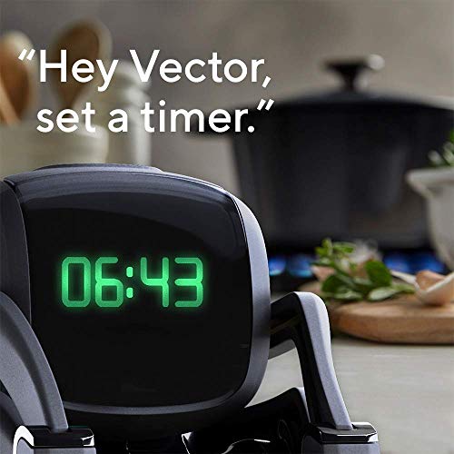 Meet Your New Best Friend: The Vector Robot That Connects, Assists, and Enchants All Ages!