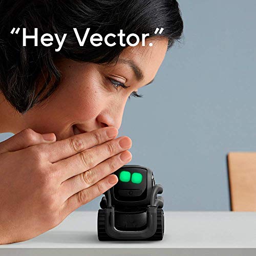 Meet Your New Best Friend: The Vector Robot That Connects, Assists, and Enchants All Ages!