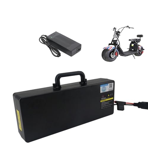 Unleashing Power: The Ultimate Guide to 60V Lithium Batteries for Electric Motorcycles and E-bikes