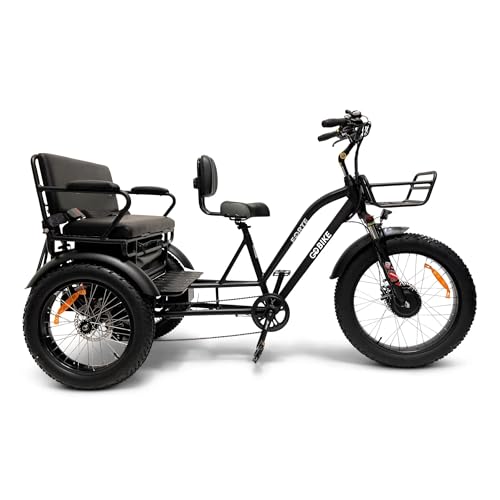 Ride in Style and Comfort: The Ultimate Review of the Forte Electric Tricycle for Adults