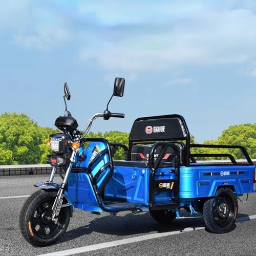 Revolutionizing Mobility: The Ultimate Guide to the Powerful Electric Tricycle for Every Terrain