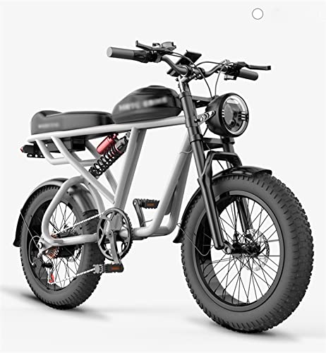 Ride the Future: A Comprehensive Review of the Classic Retro 20-Inch Electric Fat Tire Bike