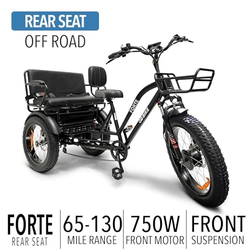 Ride in Style and Comfort: The Ultimate Review of the Forte Electric Tricycle for Adults